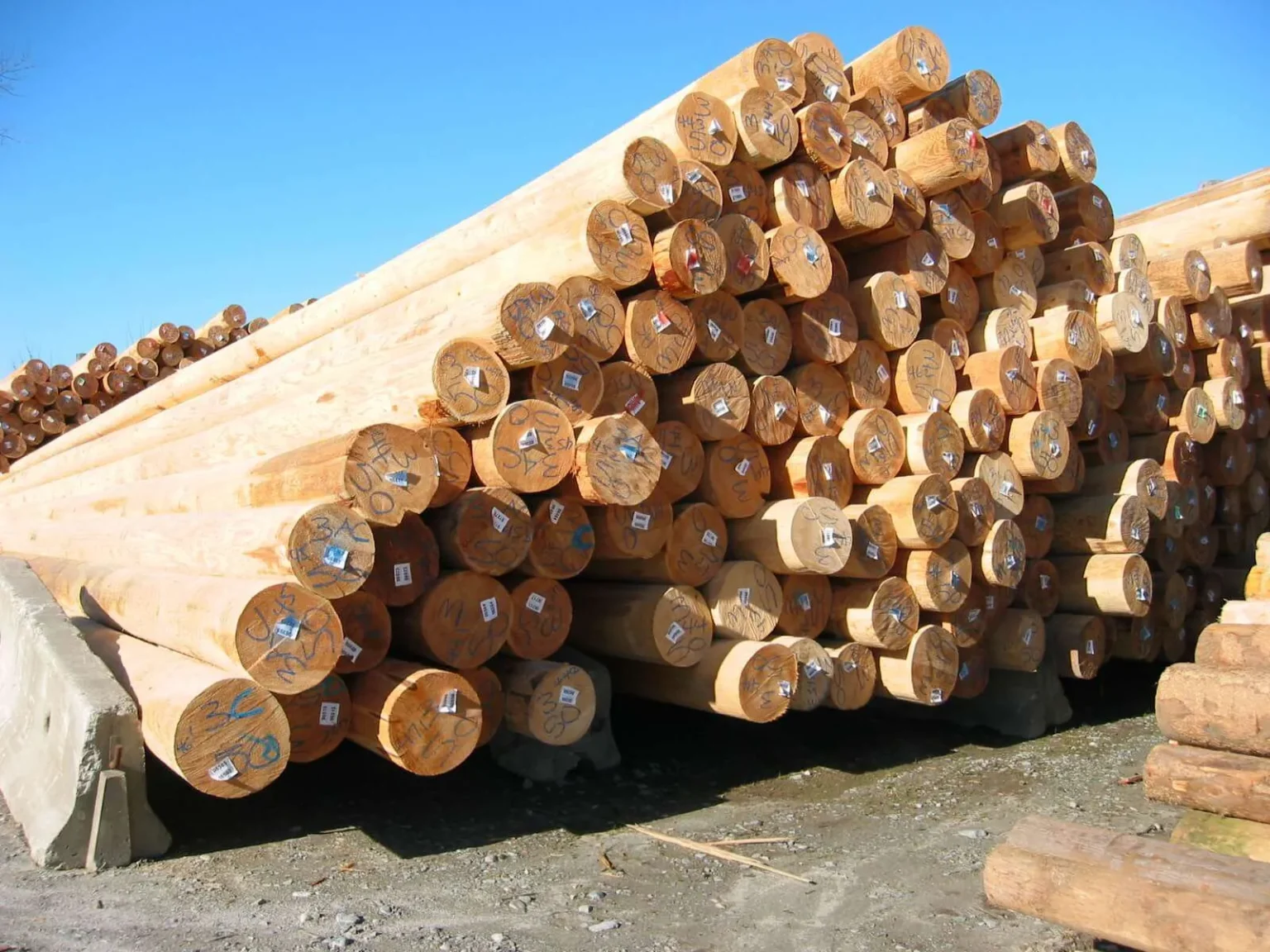 Supply of Wood Poles